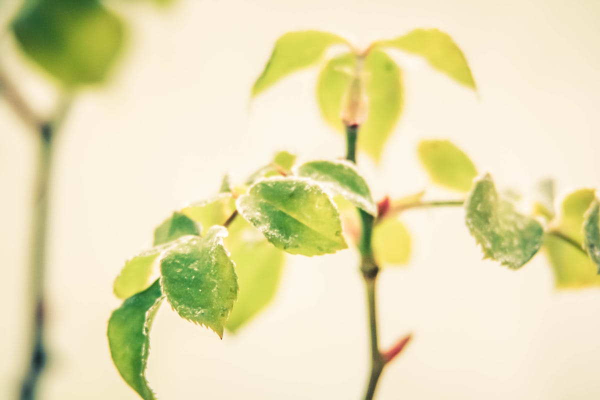 Modern extension exterior